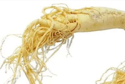 Chinese Magic Herb-Ginseng!